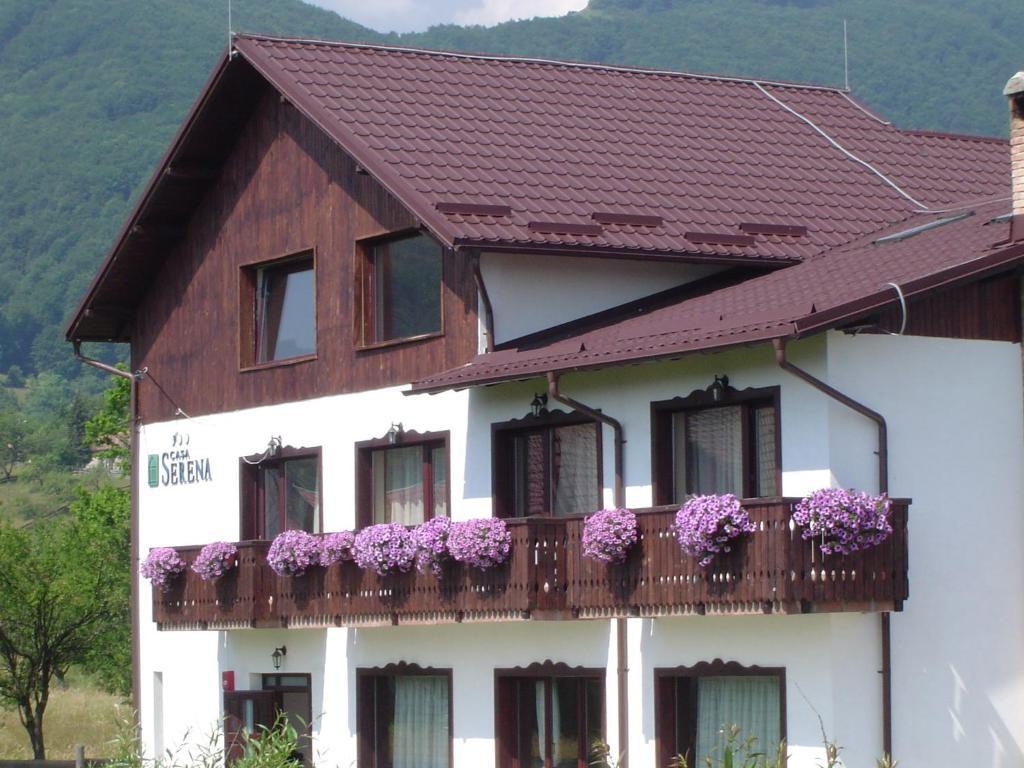 Serena Guesthouse Bran Bran  Buitenkant foto